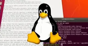 Linux Update Hatası ve Çözümü